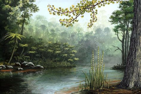 Jurassic landscape. Artwork showing typical plants along a river during the Jurassic (200 to 145 million years ago). The trees in the background are Araucaria. Across the river at left are tree ferns and pine trees. The plants in the foreground at right are Ginkgo (leaves on branch at top) and horsetail (Equisetum columnare, lower right). Alien Life Forms, Jurassic Period, Prehistoric World, Artwork Canvas, Forest Background, World Images, Landscape Artwork, Green Nature, Pine Trees