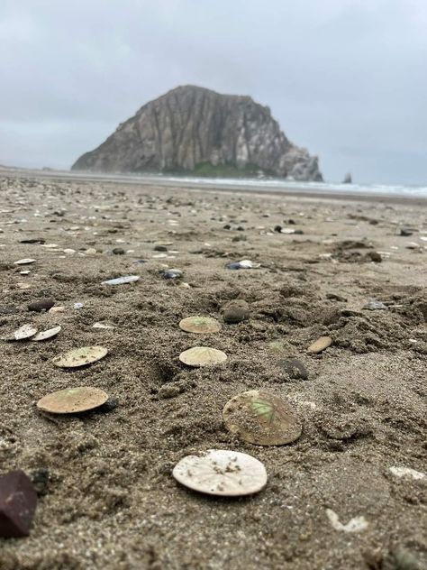 Morro Bay Aesthetic, Morro Bay California, Cali, California