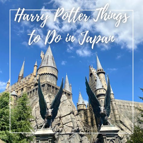 Harry Potter Japan, Harry Potter Things, Harry Potter Memorabilia, Harry Potter Land, Harry Potter Experience, Harry Potter Store, Magical Theme, Things To Do In Japan, Harry Potter Tour