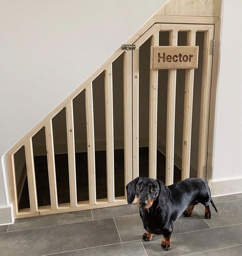 Dog Cage Under Stairs, Understairs Dog House, Under Stairs Dog Bed, Under Stair Doghouse, Dog Den Under Stairs, Understairs Dog Area, Dog Under Stairs Spaces, Dog Crate Under Stairs, Under Stairs Dog Kennel