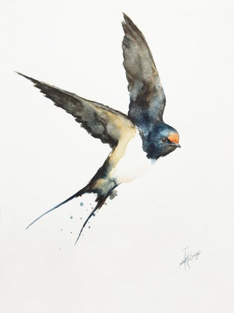 Barn Swallow Tattoo, Barn Swallow, Bird Watercolor Paintings, Bird Artwork, Sparrows, Swallows, Bird Pictures, Bird Drawings, Watercolor Inspiration