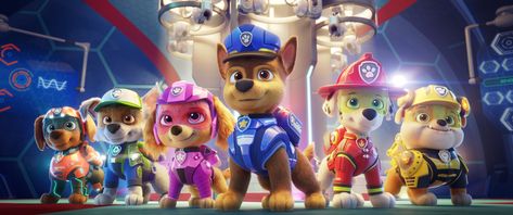 Paw Patrol The Movie, Selamat Hari Jadi, Paw Patrol Movie, Tom Fletcher, Dax Shepard, Paw Patrol Characters, Bloxburg Decals Codes, Paw Patrol Pups, Bloxburg Decals