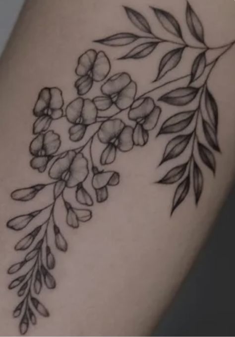 Wisteria Tattoo Black And White, Super Cool Tattoos, Wisteria Tattoo, Inner Elbow Tattoos, Tattoo Black And White, Elbow Tattoos, Tattoo Black, Awesome Tattoos, Tat Ideas