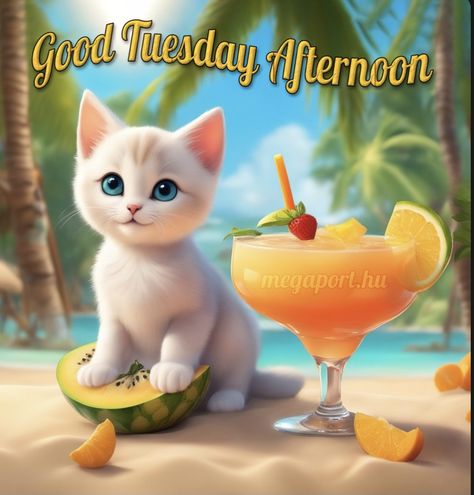 Good Afternoon Tuesday, Tuesday Afternoon, Awesome Videos, Sendai, Text Pictures, Good Afternoon, Happy Tuesday, Good Evening, Animated Gifs