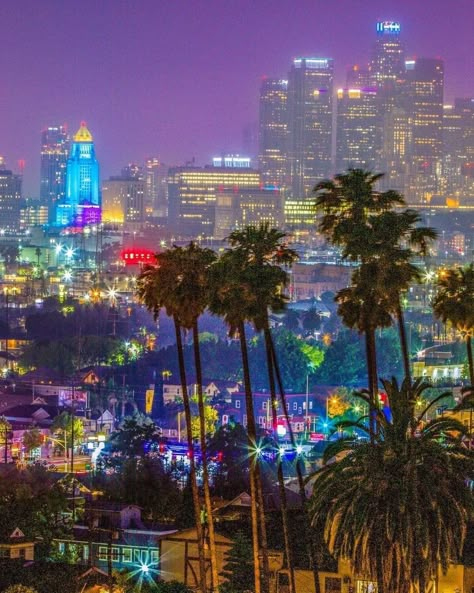 80s California, Fictional Country, Cities At Night, Miami Nightlife, Los Angeles Aesthetic, Police Siren, Places In Usa, City Vibes, Disney Magic Kingdom