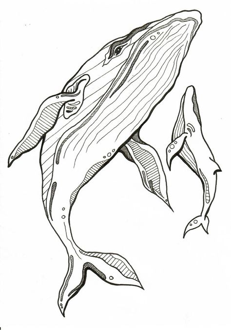 Whale Pen Drawing, Whale Drawing Illustrations, Whale And Calf Tattoo, Whale Drawing Pencil, Whale Drawing Simple, Drawing A Whale, Ocean Life Drawings, Whale Line Drawing, Sea Animal Sketches