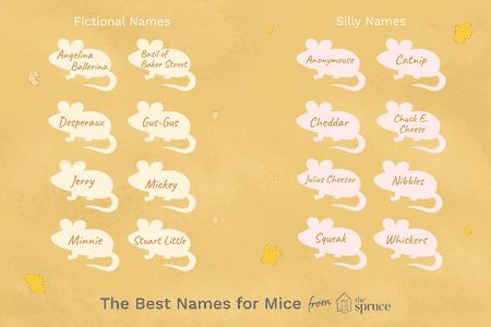 Mice Names, Poppy Book, Mouse And The Motorcycle, Cute Animal Names, Pet Mouse, Hamster Names, Silly Names, The Great Mouse Detective, Three Blind Mice