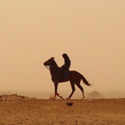 Nasir Ghameq, Arabian Desert Aesthetic, We Free The Stars, We Hunt The Flame, Arabian Nights Aesthetic, Booktok Aesthetic, Desert Aesthetic, Arabian Night, Horse Aesthetic