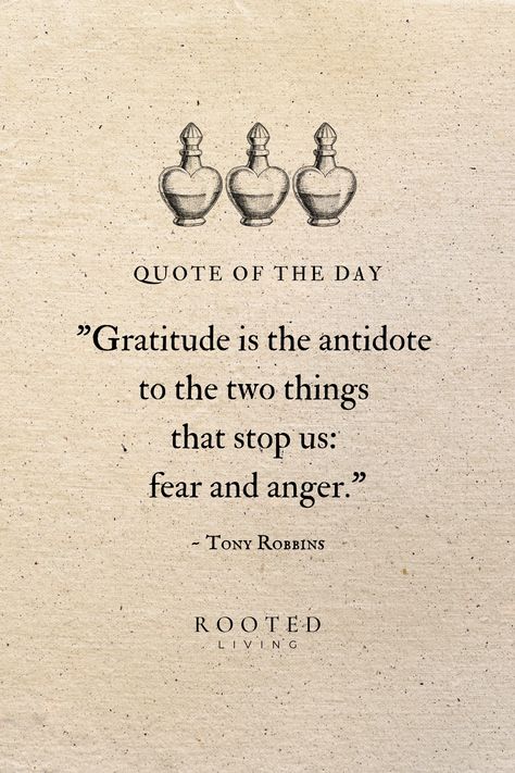 When we take a moment to appreciate what we have, it invites peace into our hearts, turning a storm into a gentle breeze. Gratitude teaches us that even in the toughest times there's a little spark of goodness. Make gratitude a daily ritual and watch it weave its magic. Quotes About Thankfulness, Quotes For Gratitude, Gratitude Magic, Gratitude Aesthetic, Gratitude Ritual, Gratitude Poems, Gratitude Poster, Quotes About Gratitude, Yoga Class Themes