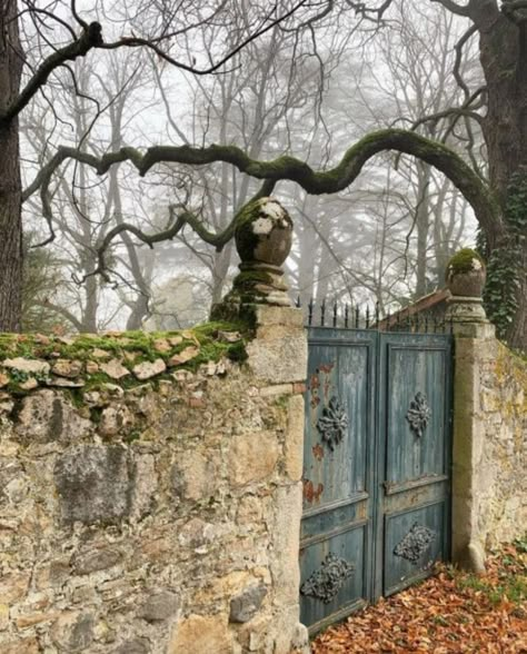 Garden Fence Ideas, Visual Gallery, Random Aesthetics, Aesthetic Life, Fence Ideas, Garden Gate, Blue Door, Garden Fence, Garden Gates