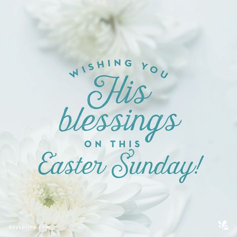 Easter Ecards | DaySpring Easter Sunday Blessings, Happy Easter Quotes Jesus Christ, Catholic Easter, Happy Easter Quotes, Easter Messages, Resurrection Day, Happy Easter Wishes, Resurrection Sunday, Easter Quotes