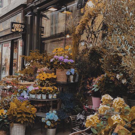 #flowershop #darkacademia #lightacademiaaesthetic #aesthetic Flowershop Aesthetic Vintage, Dahliacore Aesthetic, Erica Vibes, Flower Shop Aesthetic Vintage, Flowershop Aesthetic, Flower Shop Aesthetic, Writing Aesthetics, Light Academia Aesthetic, Library Aesthetic