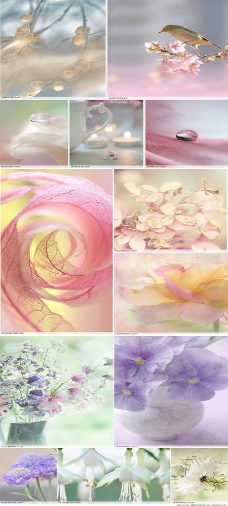 Pastel Mood Board, Colors Moodboard, Bokeh Images, Bokeh Photography, Mood Colors, Color Collage, Tattoo Girl, Beautiful Collage, Pastel Colour Palette