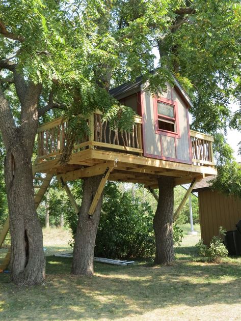 Treehouse Design Architecture, Treehouse Design, Backyard Treehouse, Treehouse Ideas, Simple Tree House, Treehouse Masters, Building A Treehouse, Tree House Plans, Backyard Trees