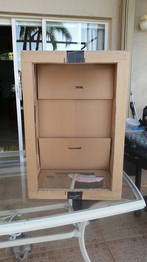 DIY Butterfly Habitat out of Amazon Prime Box Pic A 08FEB18 Diy Butterfly Habitat, Butterfly Breeding, Butterfly Habitat, Diy Butterfly, Fun Diy Crafts, Fun Diy, Amazon Prime, Filing Cabinet, Habitat