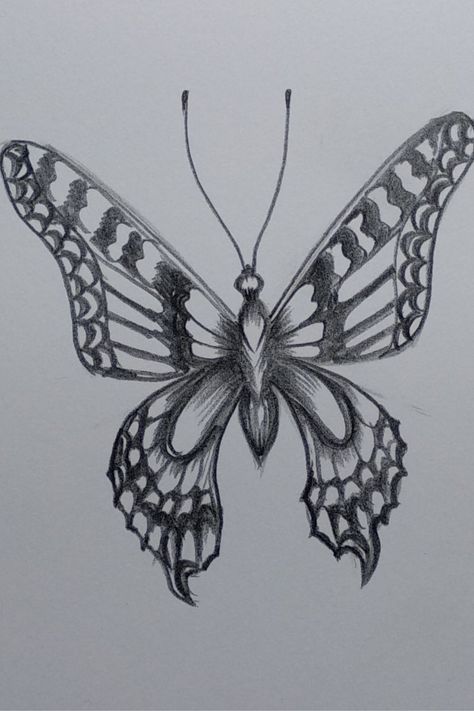 #Pencilsketching is an easy and beautiful art. Let us try to draw in a different manner. Here you will see how to draw with pencil and shaded it properly. Here I've used HB pencil for outline sketching, 6B/10B pencils for dark shading. I've also used some paper blending stamps and tissue papers to blend the shade. Butterfly Drawing Outline, Easy Butterfly Drawing, Beautiful Pencil Sketches, Butterfly Drawings, Butterfly Art Drawing, Butterfly Sketch, Shading Drawing, Girl Drawing Easy, Pencil Sketch Drawing