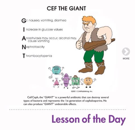 Cephalosporins...ROCEPHIN.... note the "G" aka common side effects! Cephalosporins Mnemonics, Pharmacology Antibiotics, Nursing Pneumonics, Nursing Pharmacology, Nursing Study Guide, Nurse Study Notes, Nursing Mnemonics, Pharmacy School, Pharmacology Nursing