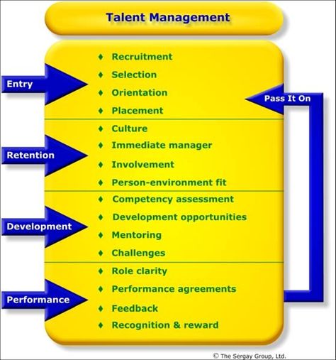 Talent Management Models, Human Resources Management Career, People Operations, Talent Management Framework, Hr Strategy Human Resources, Hr Strategy, Talent Acquisition Recruiter, Hr Department Structure, Organizational Psychology