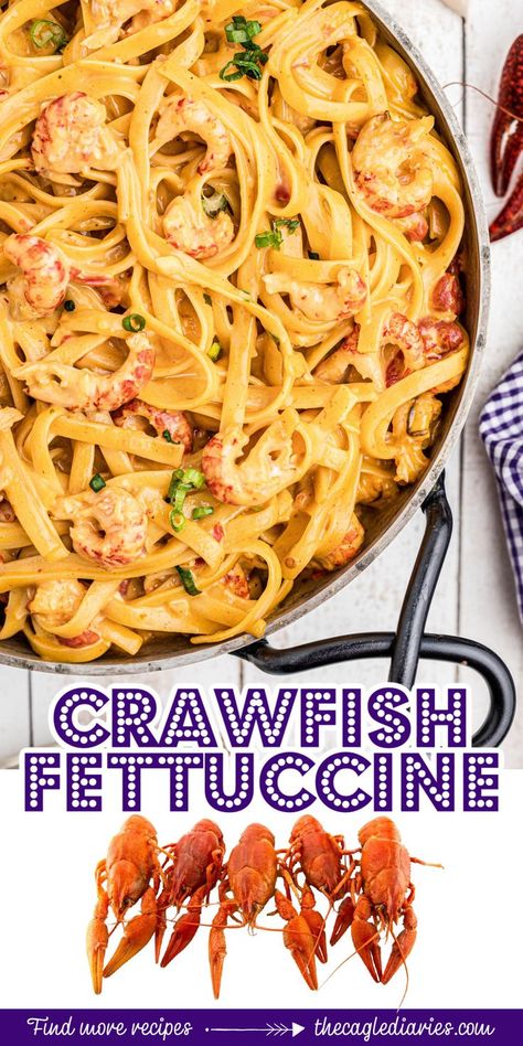 Crawfish Fettucine Recipe, Crawfish Fettuccine, Crawfish Dishes, Crawfish Pasta, Fettuccine Recipe, Crawfish Recipes, Fettuccine Recipes, Cajun Spice, Crawfish Season