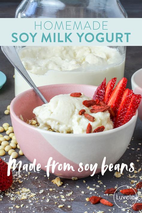 Luvele Recipes, Soybean Recipe, Yogurt Starter Culture, Homemade Soy Milk, Foods At Home, Homemade Nut Milk, Soy Yogurt, Food Dehydrators, Vegan Pastries