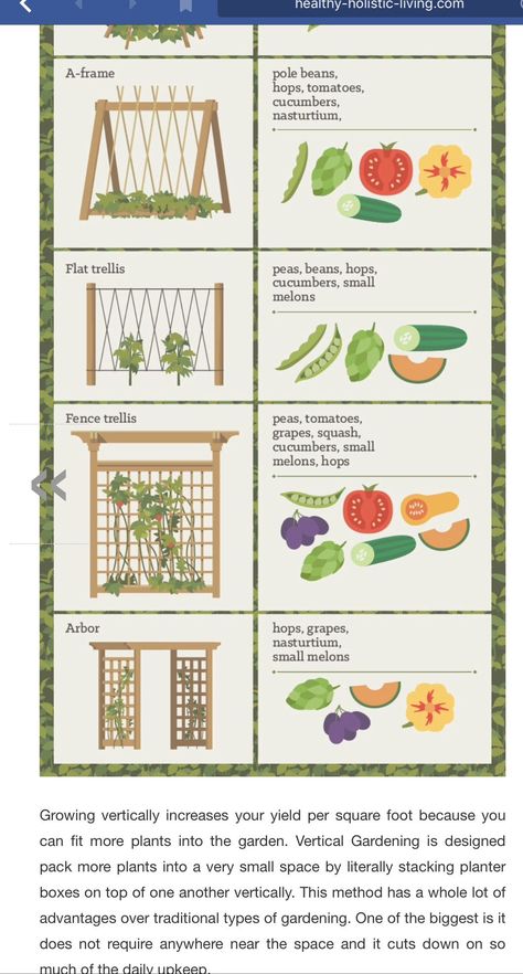 Vegetable Garden Vertical, Veggie And Fruit Garden Layout, Vertical Garden Layout, Small Vegetable Garden Design Layout, Small Homestead Garden Layout, Small Backyard Vegetable Garden Design Layout, Fruit And Vegetable Garden Layout, Vegetable Garden Plans Layout Design, Beginner Garden Layout