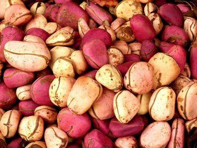 Breaking of the Kola Nut - an African tradition Kola Nut, John Pemberton, Nigeria Food, Nigerian Traditional Wedding, Traditional Wedding Cake, Nigerian Food, Wedding Reception Centerpieces, Healthy Digestion, African Food