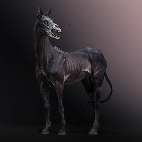 Undead Horse Kelpie Horse, Zombie Horse, Demon Horse, Dark Pics, Horse Skull, Horse Ideas, Fantasy Horses, Halloween Zombie, Mythical Animal