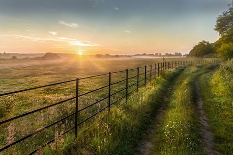 🌲 Welcome to 𝗙𝗼𝗿𝗲𝘀𝘁 𝗘𝗱𝗴𝗲 𝗖𝗼𝘂𝗿𝘁, where tranquillity meets convenience! 🌲 Nestled within the serene beauty of Thetford Forest, our exclusive development for the over 45s offers a perfect blend of peace and practicality. Spanning 20 picturesque acres, 𝗙𝗼𝗿𝗲𝘀𝘁 𝗘𝗱𝗴𝗲 𝗖𝗼𝘂𝗿𝘁 is an idyllic haven for those seeking a countryside lifestyle without sacrificing access to local amenities and attractions. Imagine stepping outside your door to be greeted by the whispering pines and the charm of winding woodla... Countryside Lifestyle, Thetford Forest, Whispering Pines, Joy Of Living, Pet Friendly, The Outsiders, Forest, Lifestyle, Quick Saves