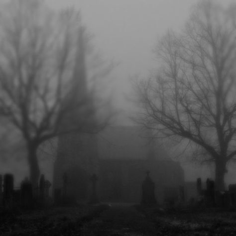 Foggy Town Aesthetic, Foggy Photography, Foggy Town, Foggy Graveyard, Haunting Photography, Aesthetic Horror, Spooky Cats, Abandoned Churches, Creepy Houses