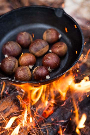 growing_jane-roasted_chestnuts-9973 Chestnuts Roasting, Roasted Chestnuts, Open Fire, Autumn Cozy, Autumn Aesthetic, Autumn Inspiration, Chocolate Covered, Chestnut, Cast Iron