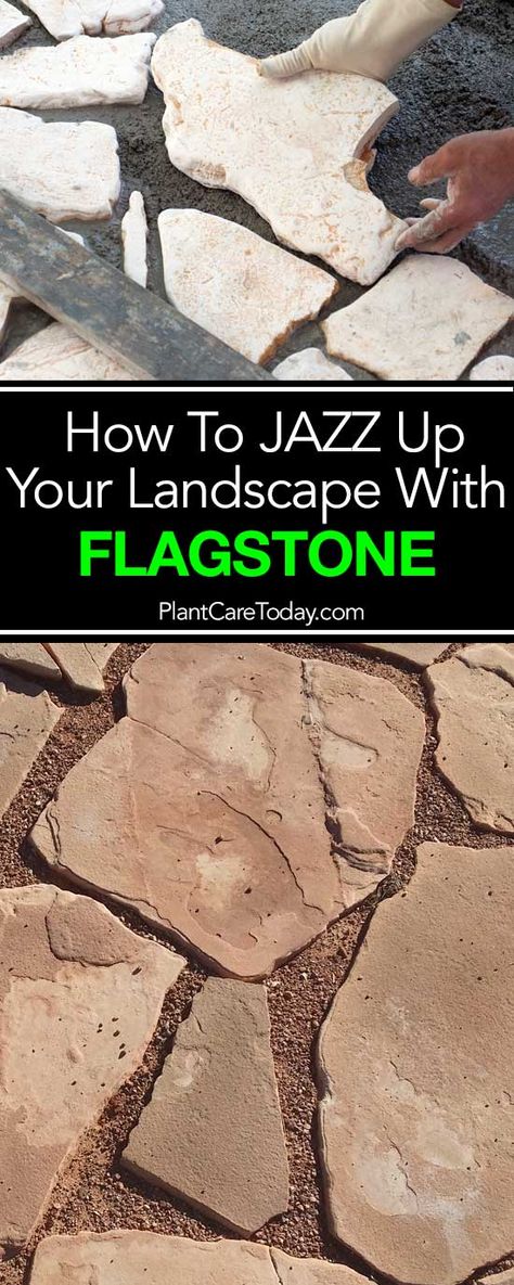 Looking for ways to jazz up your garden's landscape with a fun, striking, and excellent material? Design your patio and walkways with flagstone! Flagstone Yard Ideas, Flagstone Around Tree, Flagstone Backyard Ideas, Flagstone Landscaping Ideas, Diy Flagstone Pavers, Flagstone Flower Bed, Flagstone Patio Ideas On A Budget, Flag Stone Patio Ideas, Landscaping With Flagstone