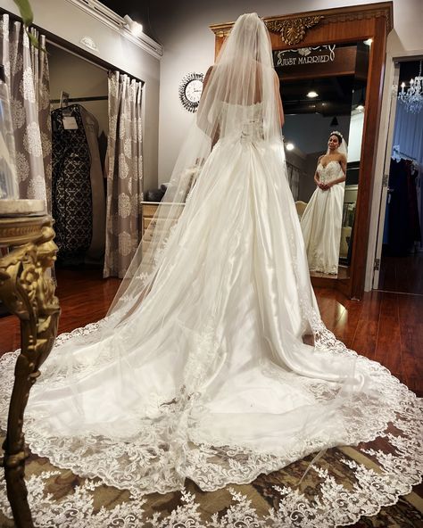 Imagine walking down the aisle in a vintage satin ballgown with this long lace veil and train with Swarovski crystals 😍 So dramatic. ⭐️ Follow @pmbridal for more wedding dress inspiration ⭐️ Brides make your wedding dress appointment at Precious Memories, Malden Link in bio ⬆️ . . . . #weddingdresses #weddingsressinspo #weddingdressideas #weddinginspiration #ballgown #ballgownweddingdress #longtrain #longveil #vintageweddingdress Wedding dress by Sottero and Midgley by @maggiesotterodesi... Satin Wedding Dress With Lace Veil, Long Lace Veil, Satin Ballgown, Sottero And Midgley, Lace Veil, Long Veil, Lace Veils, Satin Wedding Dress, Precious Memories