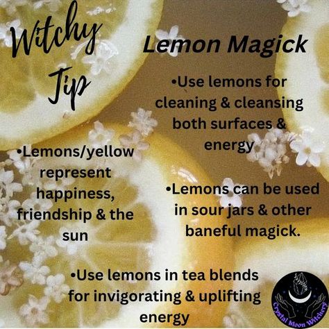 Goddess Magick, Kitchen Witch Recipes, Tea Remedies, Witch Tips, Nature Witch, Lemon Uses, Healing Spells, Magick Book, Witch Spell Book