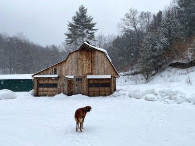 I Moved From NYC to Rural Vermont and Have No Regrets Moving To Vermont, Trash Pickup, Eclectic Restaurant, Cooking At Home, Pick Up Trash, Making New Friends, Local Brewery, No Regrets, New Town