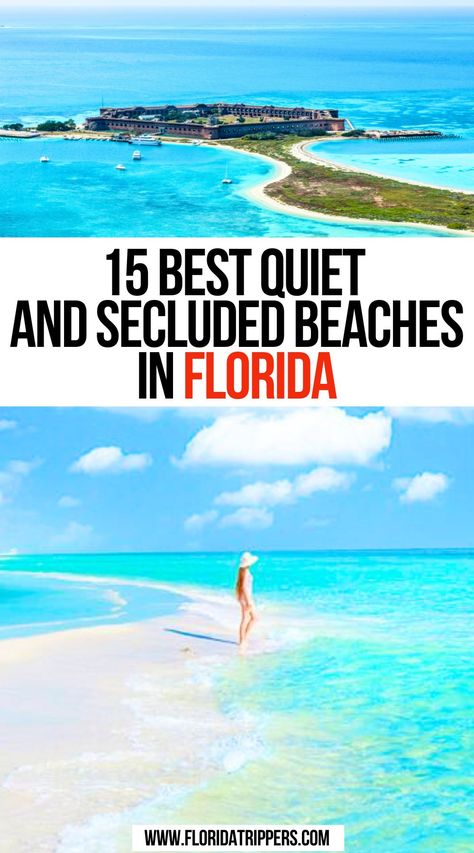 15 Best Quiet And Secluded Beaches In Florida Florida In December, Venice Beach Florida, Places To Visit In Florida, Beaches In Florida, Best Beach In Florida, Florida Travel Guide, Travel Florida, Best Beaches To Visit, Venice Florida