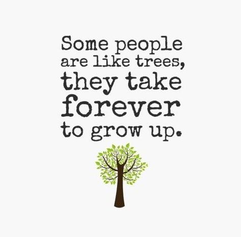 some people never grow up quotes | Some people are like trees, they take forever to grow up. ... | Quote ... Immaturity Quotes, Growing Up Quotes, Growing Quotes, 3 Brothers, Wise Sayings, Up Quotes, People Quotes, Quotable Quotes, True Words