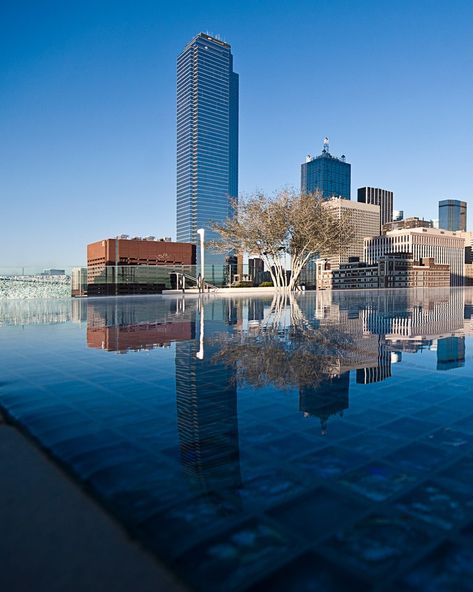 Omni Dallas Hotel, Dallas, Texas, United States - Hotel Review - Condé Nast Traveler Dallas Hotels, Dallas Restaurants, Sky Bridge, Royal Family England, Downtown Dallas, Pool Bar, Conde Nast Traveler, Convention Center, Convention Centre