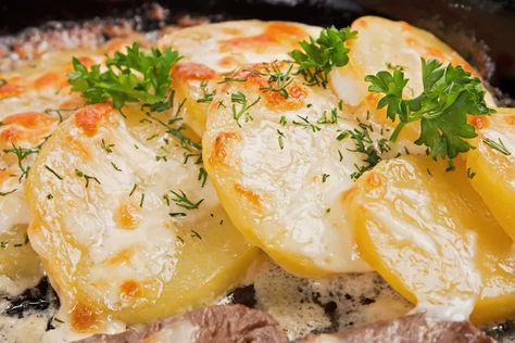 Can You Freeze Cooked Potatoes? The Best Way - The Kitchen Journal Can You Freeze Scalloped Potatoes, Boiled Potatoes Recipe, Freezing Potatoes, Boiled Red Potatoes, Kitchen Journal, Homemade Scalloped Potatoes, Cooking Red Potatoes, Cooking Baked Potatoes, Frozen Scallops