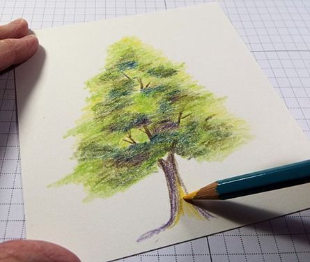 Art Kid Aesthetic, Pencil Sketches Landscape, Color Pencil Sketch, Pencil Trees, Color Pencil Illustration, Green Pencil, Art Projects For Adults, Tree Drawings Pencil, Easy Acrylic Painting