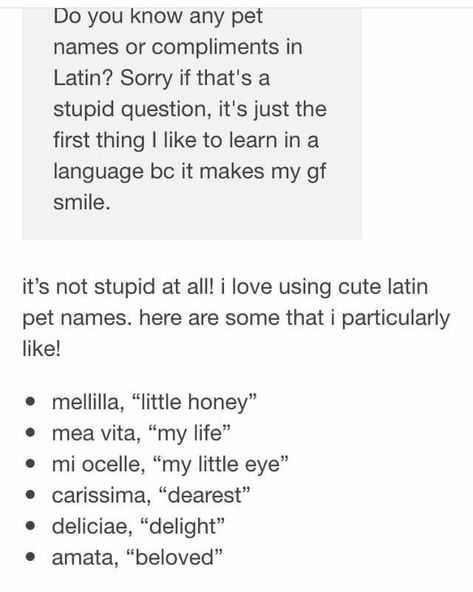 Latin Pet Names, Writing Memes, Pet Name, Super Busy, Writing Stuff, Book Writing Tips, Whatsapp Message, Writing Life, Writing Community