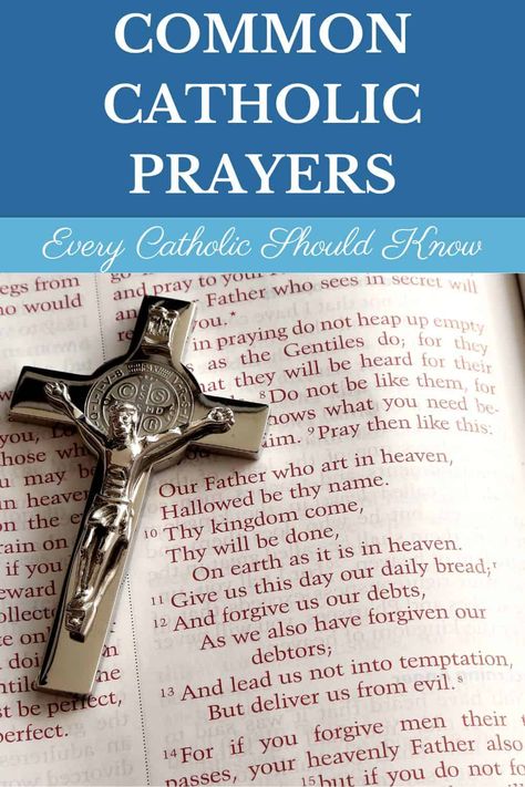 Common Catholic Prayers Every Catholic Should Know - Catholic Stay-At-Home Mom Baseball Babies, Catholic Saints Prayers, Daily Bible Scriptures, Rosary Prayers Catholic, Catholic Prayer Book, The Angelus, Catholic Prayers Daily, Prayer Of Praise, Prayer For My Family