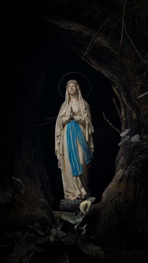 Mother Mary Wallpaper, Jose Gregorio Hernandez, Mary Jesus Mother, Catholic Wallpaper, Catholic Beliefs, Jesus Mother, Church Aesthetic, Mother Mary Images, Jesus Drawings