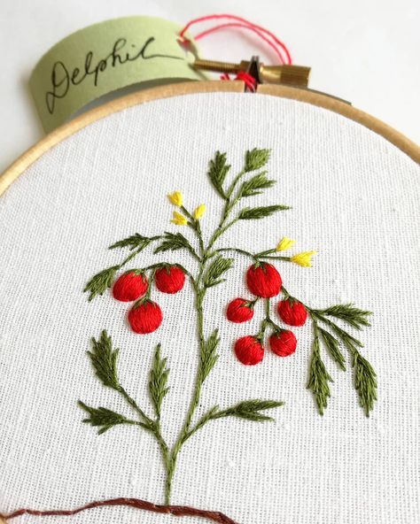 Embroider Ideas, Contemporary Embroidery, Hand Embroidery Tutorial, Hand Embroidery Projects, Cute Embroidery, Modern Embroidery, Embroidery Craft, Embroidery Inspiration, Embroidery Tutorials