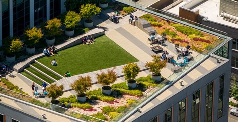 https://www.walkermacy.com/projects/amazon-headquarters/ Rooftop Design Architecture, Roof Landscape Design, Amazon Headquarters, Rooftop Landscape, Terrace Architecture, Green Roof Project, Roof Landscape, Parking Building, Paving Design