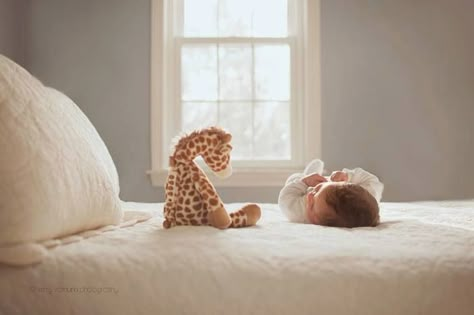 Kerry Varnum Photography Creative Newborn Photography, Baby Newborn Photography, Foto Newborn, Baby Fotografie, Baby Photography Ideas, Newborn Ideas, Newborn Photography Ideas, Infant Photography, Baby Picture Ideas