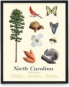 - North Carolina State Symbols Poster Print - North Carolina Wall Art - House Home Décor - North Carolina Gift - 24 x 36 Unframed Art Print North Carolina Gifts, State Symbols, Art House, Unframed Art, Home Décor, North Carolina, Home Art, Poster Print, Poster Prints