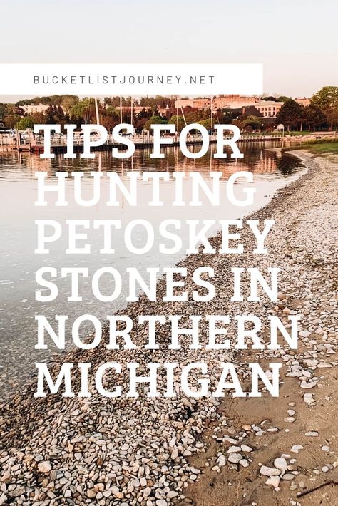 Petoskey Stones: Hunting for the Healing Rocks of Michigan Petosky Stone, Lake Michigan Stones, Petoskey Michigan, Exploring Wisconsin, Healing Rocks, Michigan Adventures, Michigan Road Trip, Michigan Vacations, Rock Hunting