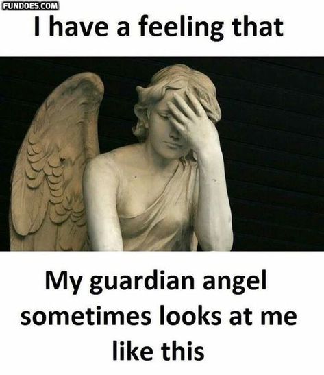 Understand that the Guardian Angels will not make your choices for you. Only you can make your life decisions. What they can do is help you discover what’s in your heart and lead you closer toward your life force so that your choice is exactly right for you and no one else. #guardianangels #angels #spiritguides #love #archangels #faithhopelove #guardianangel #spiritualjourney #angel #healing #thankyouangels #angelsigns #tarot #meditation #blessed #god #positivevibes #lightworker #spirituality Funny Girl Meme, Memes About Life, Quotes Funny Life, Top 20 Funniest, Funny Memes About Life, Funny Memes About Girls, My Guardian Angel, Funny Quotes Sarcasm, Memes Sarcastic