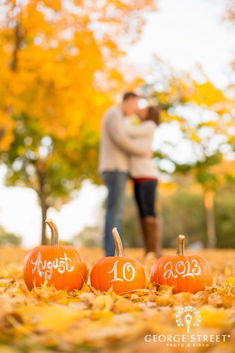 Fall Wedding Photos, Photography Pics, Offbeat Bride, Engagement Photos Fall, Save The Date Photos, Foto Poses, Wedding Engagement Photos, Fall Engagement, Wedding Planners