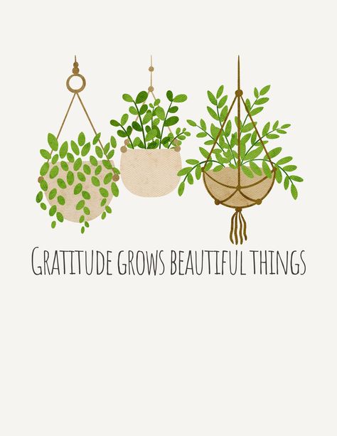 This is an 8.5 x 11 digital printable artwork. Positive Plant Quotes, Quotes On Plants Growing, Plant Affirmations, Quotes About Plants And Growth, Grow Where Youre Planted Quote, Bookmark Quotes, Gratitude Art, Plant Quotes, Horticulture Therapy